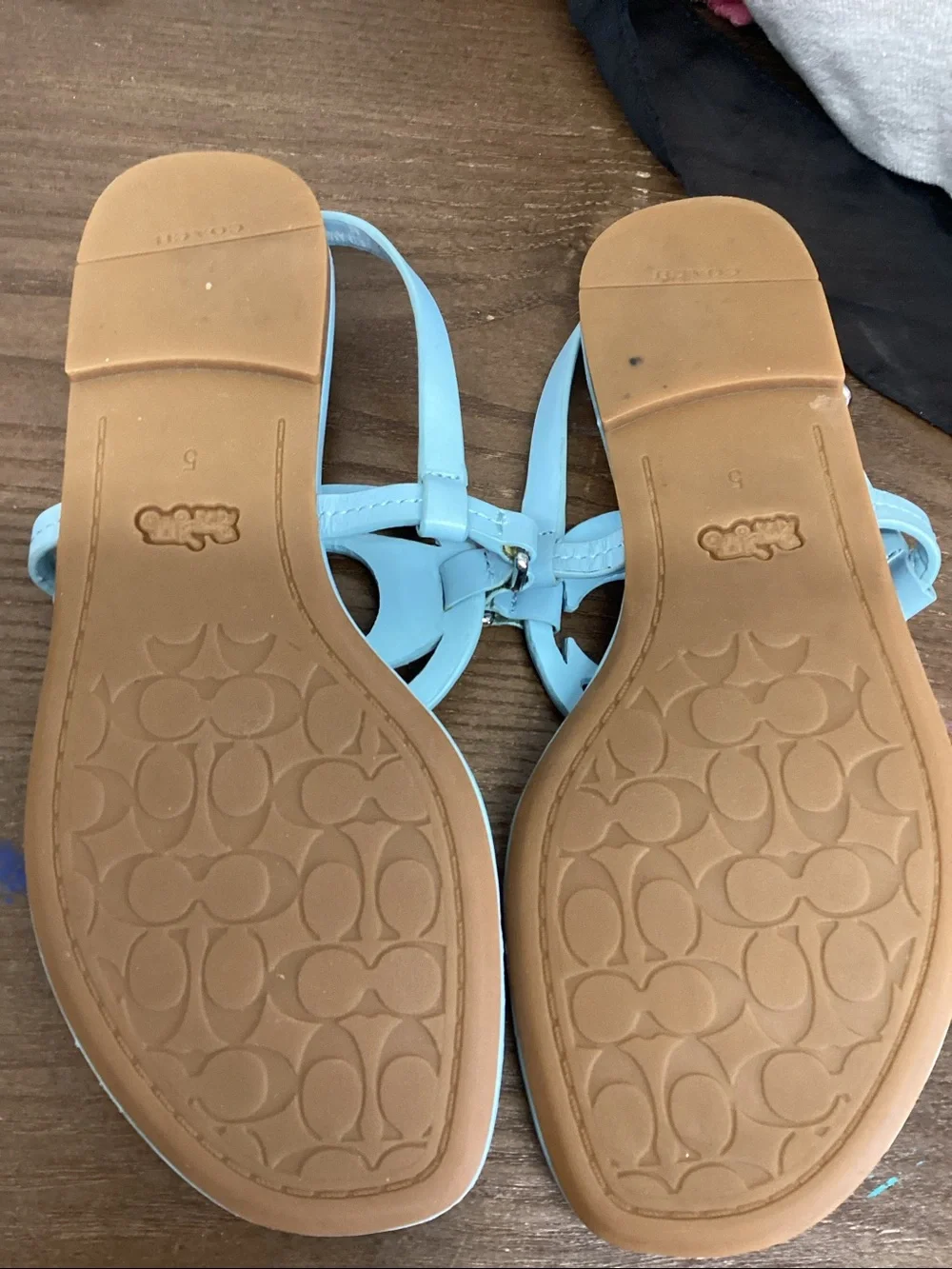 Coach Light Blue Jeri Thong Sandals